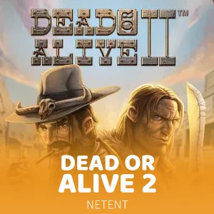 DEAD OR ALIVE 2™